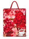 BOLSA DE REGALO DE SAN BALENTIN（A59697）